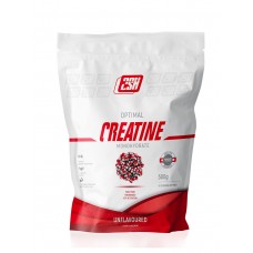 Креатин 2SN Creatine Monohydrate 500g