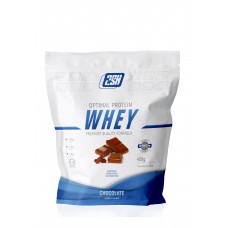 Протеин 2SN Whey Protein - Шоколад 450 г